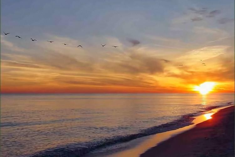 Change Of Pace Gulf Shores Bagian luar foto